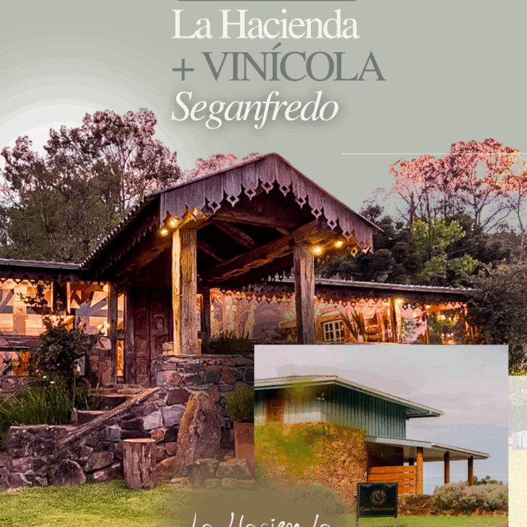 La Hacienda + Vinícola Casa Seganfredo